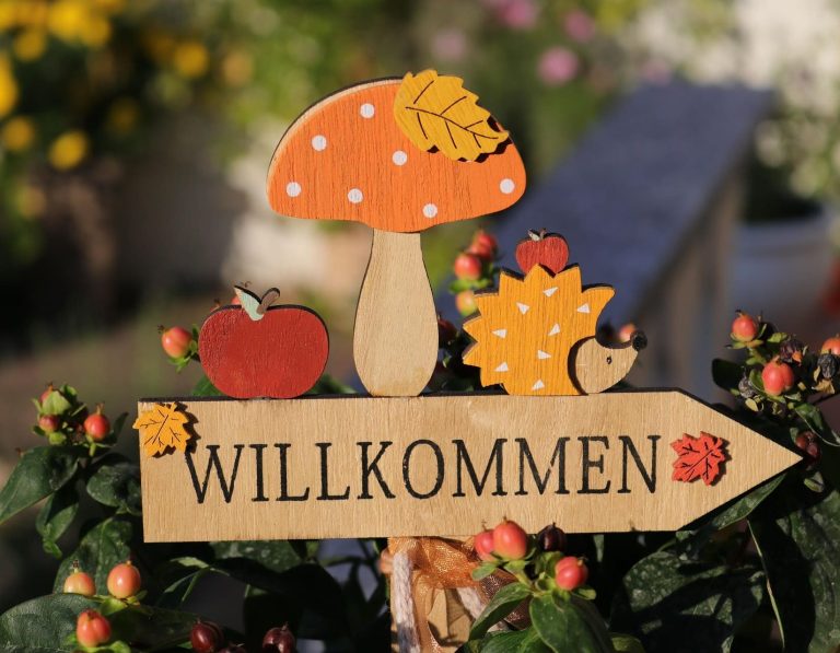 Anmeldung Newsletter